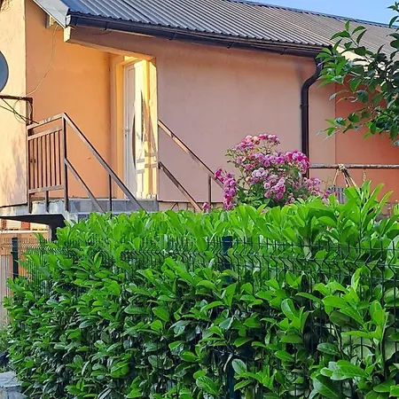 Sasa * Kolasin