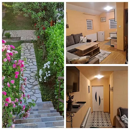 Apartment Sasa *